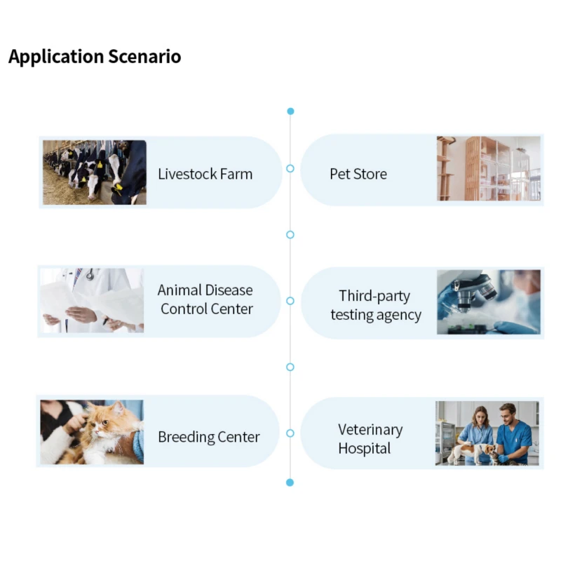 Fully Automatic PCR System For Veterinary best Fully Automatic PCR System For Veterinary best