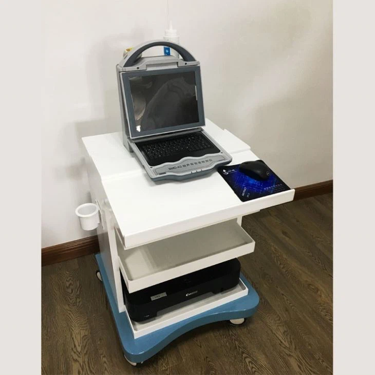 Assembly Ultrasonic Bone Densitometer